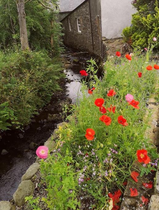 Riverside Cottage At Logwood Mill Ballyclare Εξωτερικό φωτογραφία