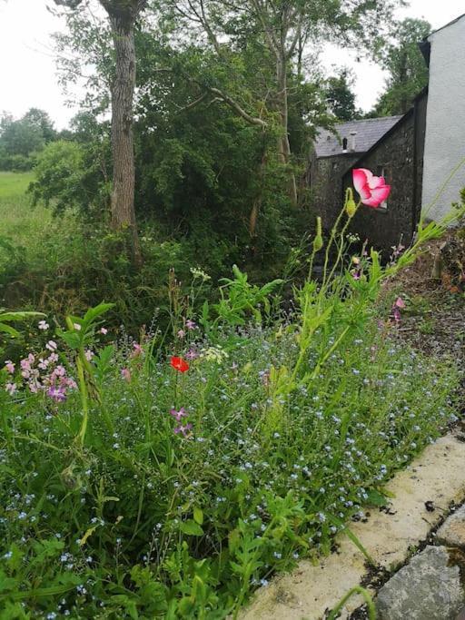 Riverside Cottage At Logwood Mill Ballyclare Εξωτερικό φωτογραφία