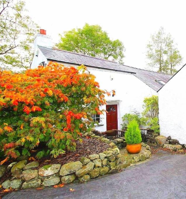 Riverside Cottage At Logwood Mill Ballyclare Εξωτερικό φωτογραφία