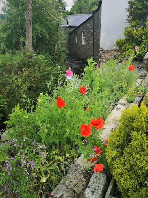 Riverside Cottage At Logwood Mill Ballyclare Εξωτερικό φωτογραφία