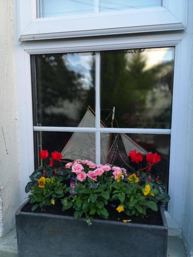Riverside Cottage At Logwood Mill Ballyclare Εξωτερικό φωτογραφία